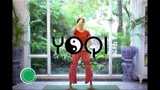 Qigong for Beginners [upl. by Ykcaj617]