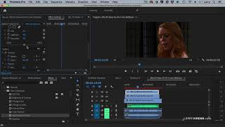 Add Effects to a Multicam Sequence in Adobe Premiere Pro [upl. by Ennovihs]