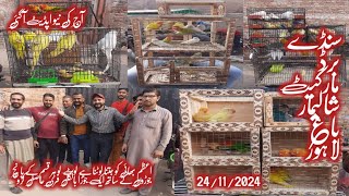 Sunday Bird Market  Shalimar Bagh Lahore  New Update Today  Geo Ki Duniya Vlogs [upl. by Atnauqahs654]