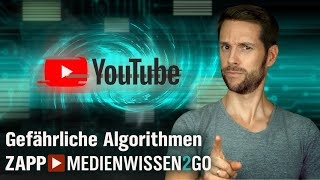 Das Problem mit den Algorithmen  MedienWissen2go  ZAPP  NDR [upl. by Isidoro]