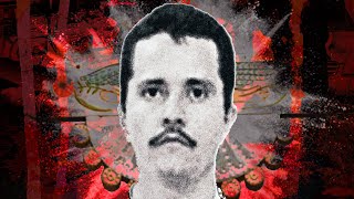 La Verdadera HISTORIA de los Hermanos OCHOA 🛑 Los SOCIOS de Pablo ESCOBAR [upl. by Colan402]