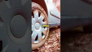 You Need To Watch This Motorcycle Tire Maintenance Tips motorcycle safety fyp [upl. by Atiuqram]