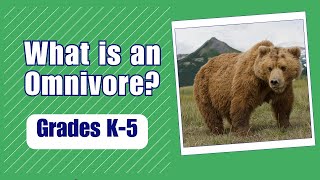 What is an Omnivore More Grades 35 Science [upl. by Beare744]