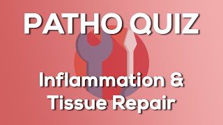 Inflammation amp Tissue Repair Nursing  Introduction to Pathophysiology [upl. by Nive]