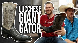 The Burke Lucchese Alligator Boots Quick Impression at Lou Taubert Ranch Outfitters [upl. by Aokek]