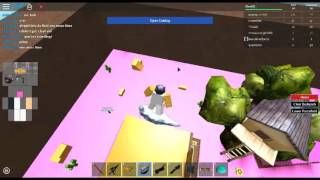 Roblox Catalog Heaven Hacker Lime99464 [upl. by Perretta]