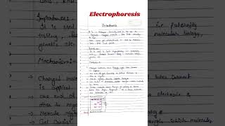 Electrophoresis  Electrophoresis Biochemistry csirnet msczoology [upl. by Fabien162]