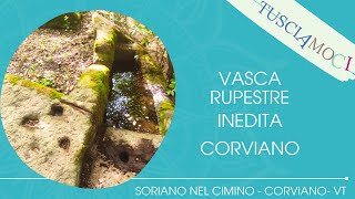 VASCA RUPESTRE INEDITA [upl. by Marley]