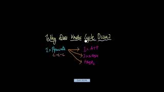 Krebs Cycle Citric acid cycle  Respiration in Plants  Biology  Khan Academy [upl. by Stempien]