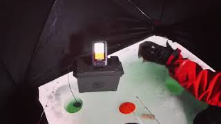 Portable ammo box fishfinder in operation [upl. by Mahgirb]