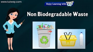 Non Biodegradable Waste  Biodegradable amp NonBiodegradable Waste  Waste Management  Science [upl. by Ygief910]