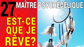 Maître Psychédélique 27 Estce que je rêve 23 [upl. by Nednarb]