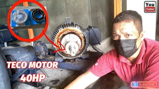 TECO 40hp motor replace bearing electrical industrial gehracca [upl. by Ientruoc]