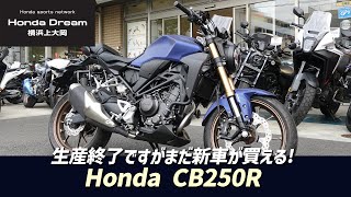 生産終了となりましたがまだあります！「新車 CB250R」マットパールアジャイルブルーをご紹介致します！ホンダドリーム横浜上大岡 [upl. by Odnesor]