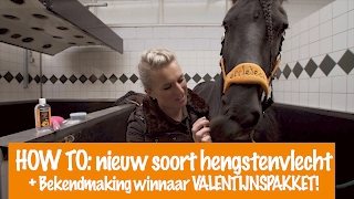 HOW TO nieuw soort HENGSTENVLECHT  Winnaar Valentijnspakket  PaardenpraatTV [upl. by Eltsyek218]