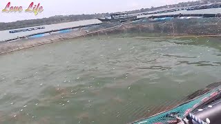 Fish food for commercial Fish Farming full visit to the Floating Ponds in Entebbe Uganda [upl. by Auod34]