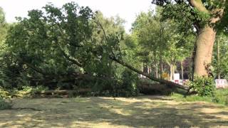 Noodweer in Kaatsheuvel en De Moer [upl. by Seldun]