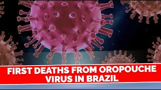 First Deaths from Oropouche virus in Brazil [upl. by Emily]