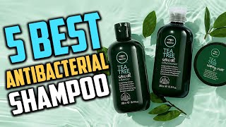 Top 5 Best Antibacterial Shampoo to Buy in Amazon [upl. by Blain]