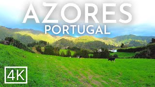 FURNAS SÃO MIGUEL Azores Islands PORTUGAL 4K  Volcanic Waters [upl. by Ilario881]