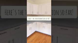 DIY Painting Kitchen Cabinets Transformation  Oak Cabinets Inspiration  Painted counters [upl. by Atikir]