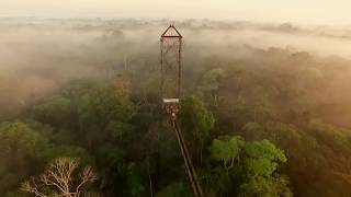 Canopy walk [upl. by Yraeg612]