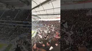 SGEEintrachtFrankfurt [upl. by Namad]