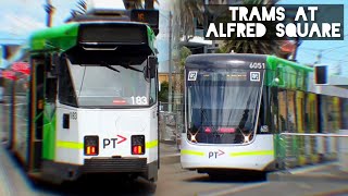 Trams at Alfred Square St Kilda  December 2023 [upl. by Most]