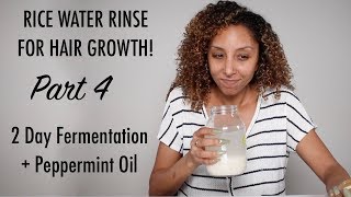 Rice Water Rinse For Hair Growth PART 4  Peppermint Oil  BiancaReneeToday [upl. by Kinny]