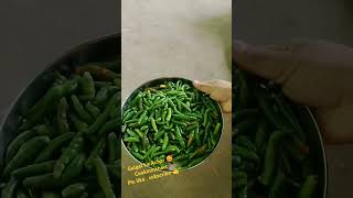 Aaj Maine banaya galgal ka Achar pls like amp subscribe 👍 friendssunderbaniborderarea [upl. by Akamaozu171]