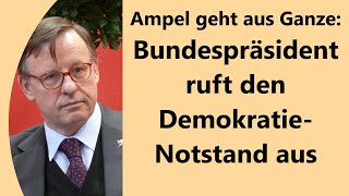 Steinmeiers RattenRede Panikmache Wut Realitätsverweigerung Autoritätsverlust der Institutionen [upl. by Haldan]