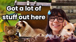 Im NOT a hoarder 😅😸 Full video [upl. by Ettener]