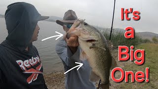 San Diego Power Bfs Bass fishing Sweetwater Reservoir  Fall Season Its a Big One [upl. by Nonnah]