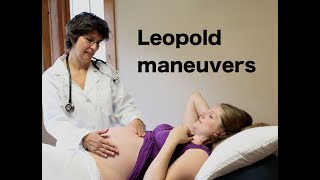 Leopolds Maneuvers for NCLEX RN [upl. by Arta29]