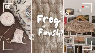 Sunday Morning Knits  Frog or Finish I have TEN languishing works in progress [upl. by Comstock]