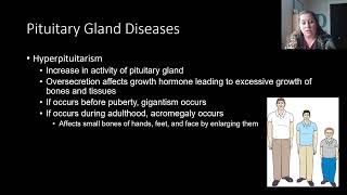 Endocrine Diseases and Disorders  Part 1 [upl. by Alliuqa]