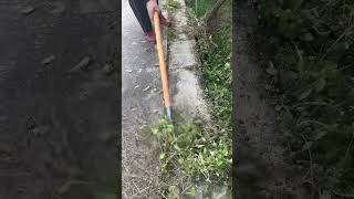 Quick and Easy Shovel Cleaning Tip ⏲️🧹 QuickTips EffortlessClean [upl. by Yrrep]