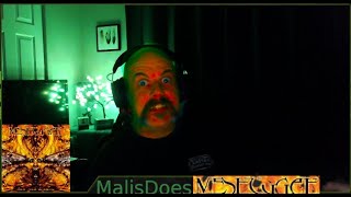 Malis Does Meshuggah  Spasm [upl. by Llenreb612]