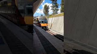 Waratah Set B12 Arriving Into Edmondson Park shorts sydneytrains railway trainspotting fyp [upl. by Astto67]