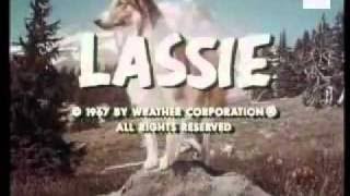 Lassie Opening Theme [upl. by Morgan469]