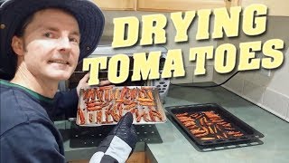 Make SunDried Tomatoes in a Toaster Oven [upl. by Dicky]