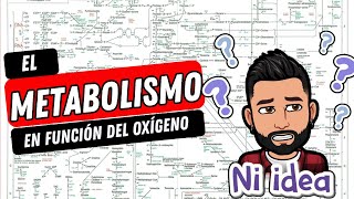 METABOLISMO RESPIRACIÓN AEROBIA ANAEROBIA o FERMENTACIÓN [upl. by Ioyal]