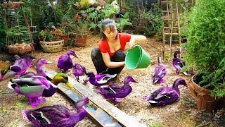 Harvesting Geese Go To Market Sell Buy Baby Geese To Raise  Anh Free Bushcraft [upl. by Gerianna]