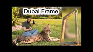 DUBAI FRAME  PICNIC TIME  travlog008 [upl. by Trinette]