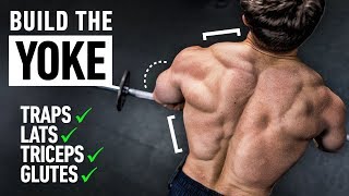 The Most Underrated Exercise To Get Yoked Hits The Traps Triceps Lats Glutes [upl. by Russon339]