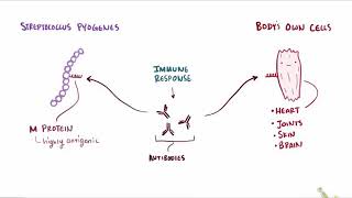 Chronic Rheumatic Heart Disease [upl. by Nnomae]