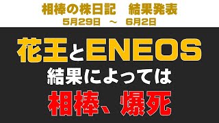 花王とENEOSに賭ける相棒！【相棒の株日記】 [upl. by Anuqahs]