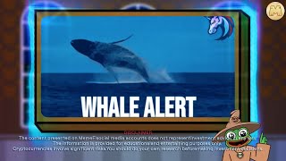 How To Avoid the Whale Trap Spot Big Moves in Crypto  MemeFi [upl. by Eelyak329]