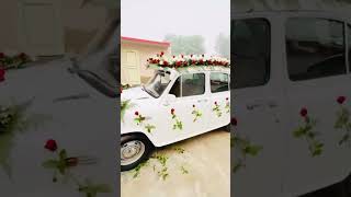 JASPREET FLOWER decoration Kalanwali 🌹 trendingshorts jsrdecorations wedding [upl. by Schindler783]