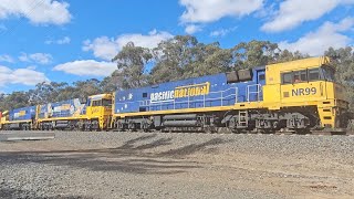 1PM5 PN up quotLinfox Expressquot NR99 NR34 NR35 Perth to Melbourne 1630 131124 Deep Lead VIC [upl. by Ahsei]